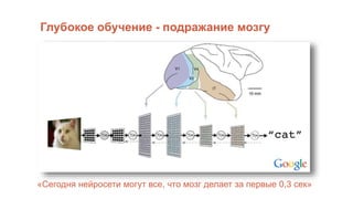 Глубокое обучение - подражание мозгу
«Сегодня нейросети могут все, что мозг делает за первые 0,3 сек»
 