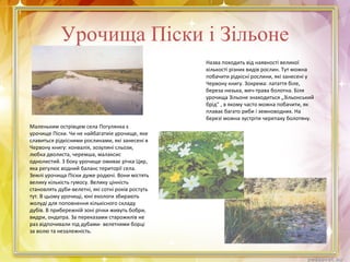 Урочища Піски і Зільоне
Маленьким острівцем села Погулянка є
урочище Піски. Чи не найбагатиіе урочище, яке
славиться рідкісними рослинами, які занесені в
Червону книгу: конвалія, зозулині сльози,
любка дволиста, черемша, малаксис
однолистий. З боку урочище омиває річка Цир,
яка регулює водний баланс території села.
Землі урочища Піски дуже родючі. Вони містять
велику кількість гумосу. Велику цінність
становлять дуби-велетні, які сотні років ростуть
тут. В цьому урочищі, юні екологи збирають
жолуді для поповнення кількісного складу
дубів. В прибережній зоні річки живуть бобри,
видри, ондатра. За переказами старожилів не
раз відпочивали під дубами- велетнями борці
за волю та незалежність.
Назва походить від наявності великої
кількості різних видів рослин. Тут можна
побачити рідкісні рослини, які занесені у
Червону книгу. Зокрема: латаття біле,
береза низька, меч-трава болотна. Біля
урочища Зільоне знаходиться „Зільонський
брід" , в якому часто можна побачити, як
плаває багато риби і земноводних. На
березі можна зустріти черепаху болотяну.
 