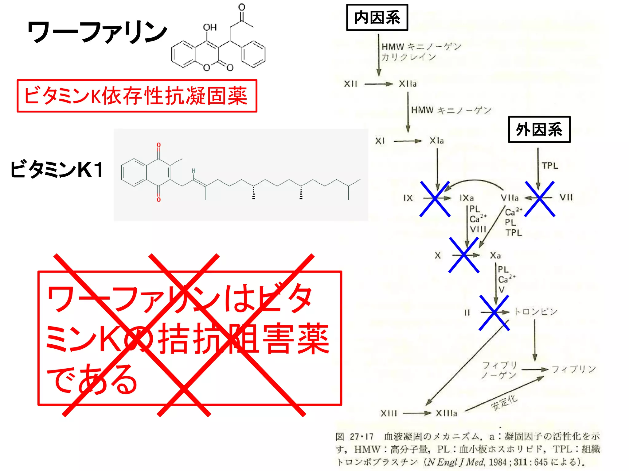 抗血栓薬スライド