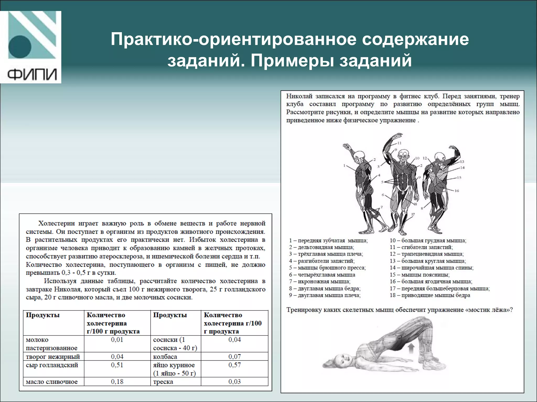 Практико-ориентированное содержание
заданий. Примеры заданий
 