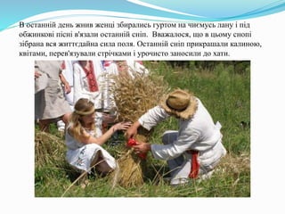 В останній день жнив женці збирались гуртом на чиємусь лану і під
обжинкові пісні в'язали останній сніп. Вважалося, що в цьому снопі
зібрана вся життєдайна сила поля. Останній сніп прикрашали калиною,
квітами, перев'язували стрічками і урочисто заносили до хати.
 