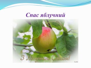 Спас яблучний
 