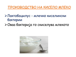 ПРОИЗВОДСТВО НА КИСЕЛО МЛЕКО
Лактобацилус - млечно киселински
бактерии
Оваа бактерија го скиселува млекото
 
