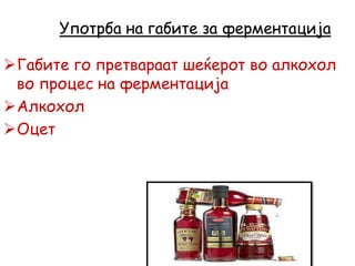 Употрба на габите за ферментација
Габите го претвараат шеќерот во алкохол
во процес на ферментација
Алкохол
Оцет
 