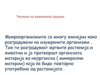 Чистење на животната средина
Микроорганизмите се многу значајни како
разградувачи на изумрените организми .
Тие ги разградуваат мртвите растенија и
животни и ја претвораат органската
материја во неорганска ( минерални
материи) која ќе биде повторно
употребена од растенијата .
 