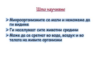  Микроорганизмите се мали и неможеме да
ги видиме
 Ги населуваат сите животни средини
 Може да се сретнат во вода, воздух и во
телата на живите организми
 