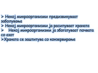  Некој микроорганизми предизвикуваат
заболувања
 Некој микроорганизми ја расипуваат храната
 Некој микроорганизми ја збогатуваат почвата
со азот
Храната се заштитува со конзервирање
 