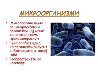 • Микроорганизмите
се микроскопски
организми кој може
да се видат само
преку микроскоп
• Тука спаѓаат едно
кл.организми,вирусит
е, бактериите и некој
габи
• Распространети се
насекаде
 