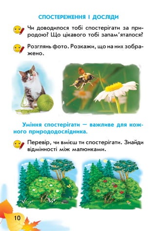 10
спостереженнЯ і досліди
Чи доводилося тобі спостерігати за при­
родою? Що цікавого тобі запам’яталося?
Розглянь фото. Розкажи, що на них зобра­
жено.
уміння спостерігати – важливе для кож­
ного природодослідника.
Перевір, чи вмієш ти спостерігати. Знайди
відмінності між малюнками.
 