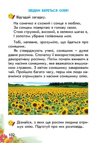 102
Звідки береться олія?
Відгадай загадку.
На сонечко я схожий і сонце я люблю,
За сонцем повертаю я голову свою.
Стою стрункий, високий, в зелених шатах я,
І золотом убрана голівонька моя.
Тобі, напевне, зрозуміло, що йдеться про
соняшник.
Як стверджують учені, соняшник – дуже
давня рослина. Спочатку її використовували як
декоративну рослину. Потім почали вживати в
їжу насіння соняшнику, яке вважалося вишука­
ною стравою. З квіток соняшнику заварювали
чай. Пройшло багато часу, перш ніж люди на­
вчилися отримувати з насіння соняшнику олію.
Дізнайся, з яких ще рослин людина отри­
мує олію. Підготуй про них розповідь.
 
