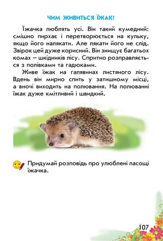 107
Чим живиться їжак?
Їжачка люблять усі. Він такий кумедний:
смішно пирхає і перетворюється на кульку,
якщо його налякати. Але лякати його не слід.
Звірок цей дуже корисний. Він знищує багатьох
комах – шкідників лісу. Спритно розправляєть­
ся з полівками та гадюками.
Живе їжак на галявинах листяного лісу.
Вдень він мирно спить у затишному місці,
а вночі виходить на полювання. На полюванні
їжак дуже кмітливий і швидкий.
Придумай розповідь про улюблені ласощі
їжачка.
 
