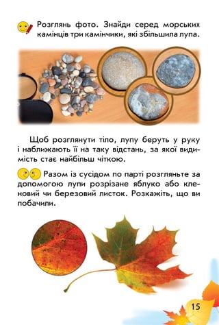 15
Розглянь фото. Знайди серед морських
камінців три камінчики, які збільшила лупа.
Щоб розглянути тіло, лупу беруть у руку
і наближають її на таку відстань, за якої види­
мість стає найбільш чіткою.
Разом із сусідом по парті розгляньте за
допомогою лупи розрізане яблуко або кле­
новий чи березовий листок. Розкажіть, що ви
побачили.
 