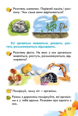 17
Розглянь малюнки. Порівняй камінь і рос­
лину. Чим саме вони відрізняються?
Усі організми живляться, дихають, рос-
туть, розмножуються, відмирають.
Розглянь фото. На яких з них організми
живляться, ростуть, розмножуються, від­
мирають?
?	Поміркуй, чому кіт – організм.
Разом з дорослим поміркуйте, які організ­
ми є у тебе вдома. розкажи про одного з
них.
 