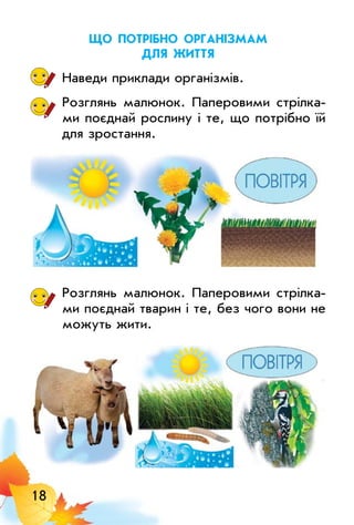 18
Що потрібно організмам
для життя
Наведи приклади організмів.
Розглянь малюнок. Паперовими стрілка­
ми поєднай рослину і те, що потрібно їй
для зростання.
Розглянь малюнок. Паперовими стрілка­
ми поєднай тварин і те, без чого вони не
можуть жити.
 