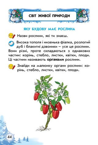 44
світ живої природи
Яку будову Має рослина
Назви рослини, які ти знаєш.
Висока тополя і низенька фіалка, розлогий
дуб і блакитні дзвоники – усе це рослини.
Вони різні, проте складаються з однакових
частин: корінь, стебло, листки, квітки, плоди.
ці частини називають органами рослини.
Знайди на малюнку органи рослини: ко­
рінь, стебло, листки, квітки, плоди.
 