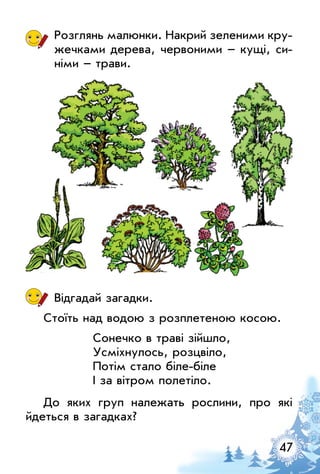 47
Розглянь малюнки. Накрий зеленими кру­
жечками дерева, червоними – кущі, си­
німи   – трави.
Відгадай загадки.
Стоїть над водою з розплетеною косою.
Сонечко в траві зійшло,
Усміхнулось, розцвіло,
Потім стало біле-біле
І за вітром полетіло.
До яких груп належать рослини, про які
йдеться в загадках?
 