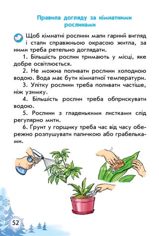 52
правила догляду за кімнатними
рослинами
Щоб кімнатні рослини мали гарний вигляд
і стали справжньою окрасою житла, за
ними треба ретельно доглядати.
1. Більшість рослин тримають у місці, яке
добре освітлюється.
2. Не можна поливати рослини холодною
водою. Вода має бути кімнатної температури.
3. улітку рослини треба поливати частіше,
ніж узимку.
4. Більшість рослин треба обприскувати
водою.
5. Рослини з гладенькими листками слід
регулярно мити.
6. Ґрунт у горщику треба час від часу обе­
режно розпушувати паличкою або грабелька­
ми.
 