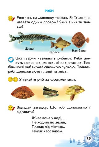 59
риби
Розглянь на малюнку тварин. Як їх можна
назвати одним словом? Яких з них ти зна­
єш?
цих тварин називають рибами. Риби жи­
вуть в океанах, морях, річках, ставках. Тіло
більшості риб вкрите слизькою лускою. Плавати
рибі допомагають плавці та хвіст.
упізнайте риб за фрагментами.
Відгадай загадку. Що тобі допомогло її
відгадати?
живе вона у воді,
Не ходить по землі,
Плаває під містком
І виляє хвостиком.
КамбалаКарась
Щука
 