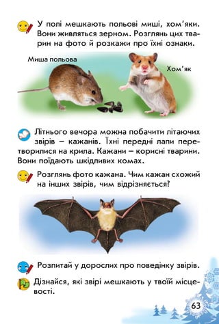 63
у полі мешкають польові миші, хом’яки.
Вони живляться зерном. Розглянь цих тва­
рин на фото й розкажи про їхні ознаки.
літнього вечора можна побачити літаючих
звірів – кажанів. Їхні передні лапи пере­
творилися на крила. Кажани – корисні тварини.
Вони поїдають шкідливих комах.
Розглянь фото кажана. Чим кажан схожий
на інших звірів, чим відрізняється?
Розпитай у дорослих про поведінку звірів.
Дізнайся, які звірі мешкають у твоїй місце­
вості.
миша польова
Хом’як
 