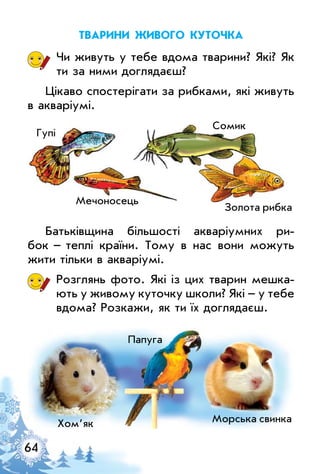 64
Тварини живого куточка
Чи живуть у тебе вдома тварини? Які? Як
ти за ними доглядаєш?
Цікаво спостерігати за рибками, які живуть
в акваріумі.
Батьківщина більшості акваріумних ри­
бок   –   теплі країни. Тому в нас вони можуть
жити тільки в акваріумі.
Розглянь фото. Які із цих тварин мешка­
ють у живому куточку школи? Які – у тебе
вдома? Розкажи, як ти їх доглядаєш.
Гупі
Папуга
Золота рибка
Сомик
Мечоносець
Морська свинкаХом’як
 