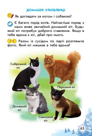 65
доМашні улюбленці
Як доглядати за котом і собакою?
є багато порід котів. Найчастіше поряд з
нами живе звичайний домашній кіт. Будь­
який кіт потребує доброго ставлення. Якщо в
тебе вдома є кіт, дбай про нього.
Разом із сусідом по парті розгляньте
фото. Який кіт мешкає в тебе вдома?
Перський кіт
Домашній
кіт
Сибірський
кіт
Сіамський
кіт
 
