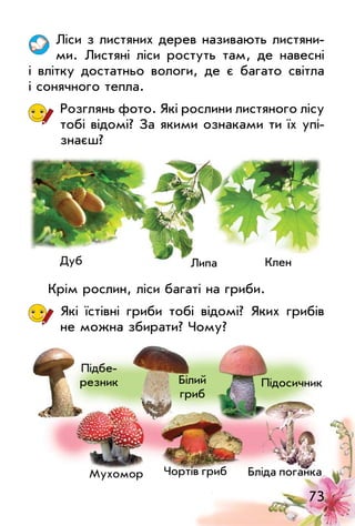 73
ліси з листяних дерев називають листяни­
ми. листяні ліси ростуть там, де навесні
і влітку достатньо вологи, де є багато світла
і сонячного тепла.
Розглянь фото. Які рослини листяного лісу
тобі відомі? За якими ознаками ти їх упі­
знаєш?
Крім рослин, ліси багаті на гриби.
Які їстівні гриби тобі відомі? Яких грибів
не можна збирати? Чому?
липа
Білий
гриб
Дуб Клен
Підбе­
резник Підосичник
мухомор Бліда поганкаЧортів гриб
 