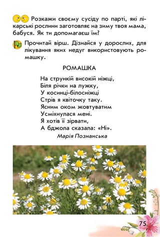 75
Розкажи своєму сусіду по парті, які лі­
карські рослини заготовляє на зиму твоя мама,
бабуся. Як ти допомагаєш їм?
Прочитай вірш. Дізнайся у до­рослих, для
лікування яких недуг викори­­стовують ро­
машку.
Ромашка
На стрункій високій ніжці,
Біля річки на лужку,
У косинці-білосніжці
Стрів я квіточку таку.
Ясним оком жовтуватим
Усміхнулася мені.
Я хотів її зірвати,
А бджола сказала: «Ні».
Марія Познанська
 