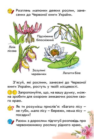 77
Розглянь малюнки деяких рослин, зане­
сених до Червоної книги України.
З’ясуй, які рослини, занесені до Червоної
книги України, ростуть у твоїй місцевості.
Запропонуйте, що, на вашу думку, мож­
на зробити для охорони зникаючих рослин сво­
го краю.
? Як ти розумієш прислів’я: «Багато лісу –
не губи, мало лісу – бережи, нема лісу   –
посади»?
Разом з дорослим підготуй розповідь про
червонокнижну рослину рідного краю.
Підсніжник
білосніжний
Зозулині
черевички Латаття біле
Лілія
лісова
 