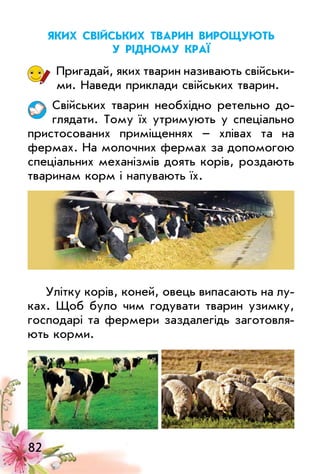 82
ЯкиХ свійськиХ тварин вироЩують
у рідноМу краї
Пригадай, яких тварин називають свійськи­
ми. Наведи приклади свійських тварин.
Свійських тварин необхідно ретельно до­
глядати. Тому їх утримують у спеціально
пристосованих приміщеннях – хлівах та на
фермах. На молочних фермах за допомогою
спеціальних механізмів доять корів, роздають
тваринам корм і напувають їх.
улітку корів, коней, овець випасають на лу­
ках. Щоб було чим годувати тварин узимку,
господарі та фермери заздалегідь заготовля­
ють корми.
 