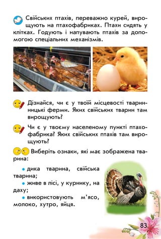 83
Свійських птахів, переважно курей, виро­
щують на птахофабриках. Птахи сидять у
клітках. Годують і напувають птахів за допо­
могою спеціальних механізмів.
Дізнайся, чи є у твоїй місцевості тварин­
ницькі ферми. Яких свійських тварин там
вирощують?
Чи є у твоєму населеному пункті птахо­
фабрика? Яких свійських птахів там виро­
щують?
Виберіть ознаки, які має зображена тва­
рина:
дика тварина, свійська
тварина;
живе в лісі, у курнику, на
даху;
використовують м’ясо,
молоко, хутро, яйця.
 