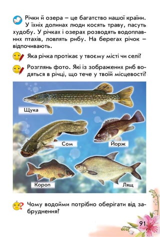 91
Річки й озера – це багатство нашої країни.
у їхніх долинах люди косять траву, пасуть
худобу. у річках і озерах розводять водоплав­
них птахів, ловлять рибу. На берегах річок –
відпочивають.
Яка річка протікає у твоєму місті чи селі?
Розглянь фото. Які із зображених риб во­
дяться в річці, що тече у твоїй місцевості?
? Чому водойми потрібно оберігати від за­
бруднення?
лящ
Щука
Сом
Короп
Йорж
 