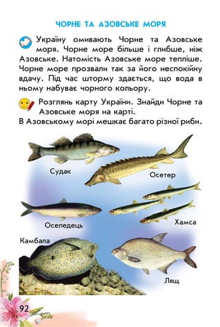 92
чорне та азовське МорЯ
україну омивають Чорне та Азовське
моря. Чорне море більше і глибше, ніж
Азовське. Натомість Азовське море тепліше.
Чорне море прозвали так за його неспокійну
вдачу. Під час шторму здається, що вода в
ньому набуває чорного кольору.
Розглянь карту україни. Знайди Чорне та
Азовське моря на карті.
В Азовському морі мешкає багато різної риби.
Хамса
Судак
Камбала
лящ
оселедець
осетер
 