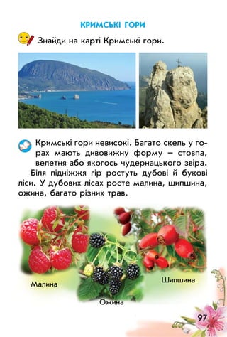 97
криМські гори
Знайди на карті Кримські гори.
Кримські гори невисокі. Багато скель у го­
рах мають дивовижну форму – стовпа,
велетня або якогось чудернацького звіра.
Біля підніжжя гір ростуть дубові й букові
ліси. у дубових лісах росте малина, шипшина,
ожина, багато різних трав.
малина
шипшина
ожина
 