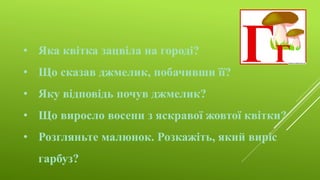 • Яка квітка зацвіла на городі?
• Що сказав джмелик, побачивши її?
• Яку відповідь почув джмелик?
• Що виросло восени з яскравої жовтої квітки?
• Розгляньте малюнок. Розкажіть, який виріс
гарбуз?
 