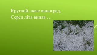 Круглий, наче виноград,
Серед літа випав …
 