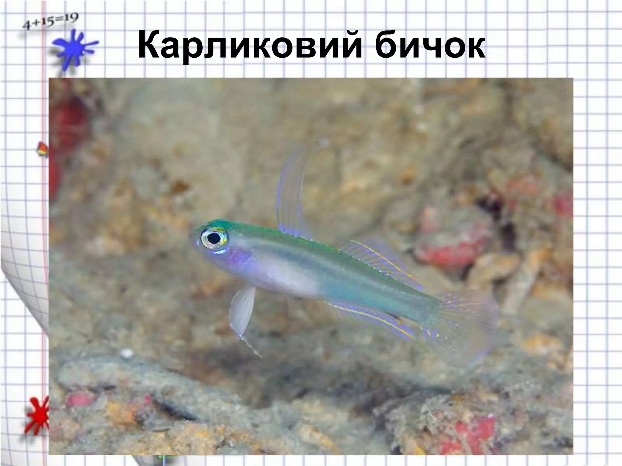 міри довжини | PPT