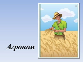 Агроном
 