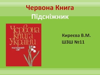Червона Книга
Підсніжник
Киреєва В.М.
ШЗШ №11
 