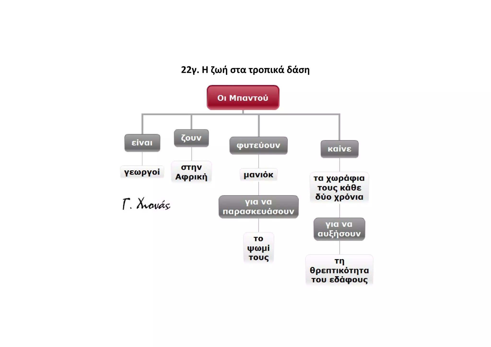 22γ. Η ζωή στα τροπικά δάση
 
