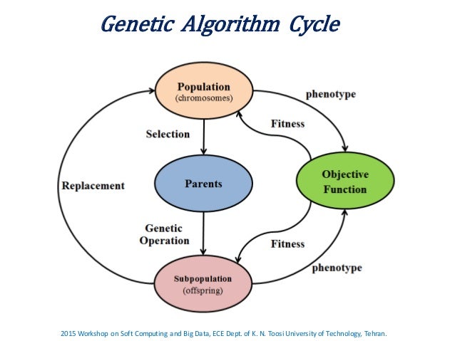 Evolutionary Algorithms