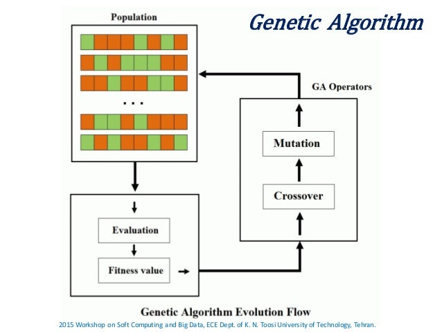 Evolutionary Algorithms
