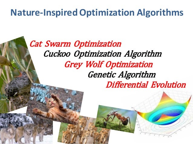 Evolutionary Algorithms