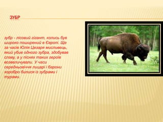тварини і птахи нашої місцевості | PPT