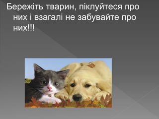 Бережіть тварин, піклуйтеся про
них і взагалі не забувайте про
них!!!
 