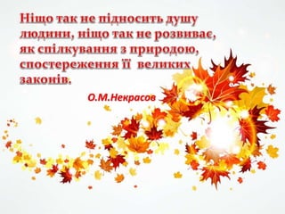 О.М.Некрасов
 