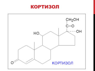 КОРТИЗОЛ
 