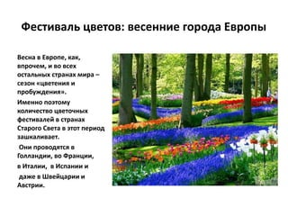 Фестиваль цветов: весенние города Европы
Весна в Европе, как,
впрочем, и во всех
остальных странах мира –
сезон «цветения и
пробуждения».
Именно поэтому
количество цветочных
фестивалей в странах
Старого Света в этот период
зашкаливает.
Они проводятся в
Голландии, во Франции,
в Италии, в Испании и
даже в Швейцарии и
Австрии.
 