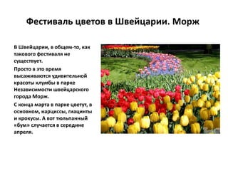 Фестиваль цветов в Швейцарии. Морж
В Швейцарии, в общем-то, как
такового фестиваля не
существует.
Просто в это время
высаживаются удивительной
красоты клумбы в парке
Независимости швейцарского
города Морж.
С конца марта в парке цветут, в
основном, нарциссы, гиацинты
и крокусы. А вот тюльпанный
«бум» случается в середине
апреля.
 