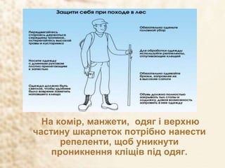На комір, манжети, одяг і верхню
частину шкарпеток потрібно нанести
репеленти, щоб уникнути
проникнення кліщів під одяг.
 