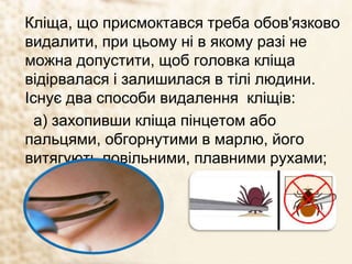 Кліща, що присмоктався треба обов'язково
видалити, при цьому ні в якому разі не
можна допустити, щоб головка кліща
відірвалася і залишилася в тілі людини.
Існує два способи видалення кліщів:
а) захопивши кліща пінцетом або
пальцями, обгорнутими в марлю, його
витягують повільними, плавними рухами;
 